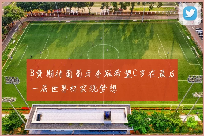 B费期待葡萄牙夺冠希望C罗在最后一届世界杯实现梦想