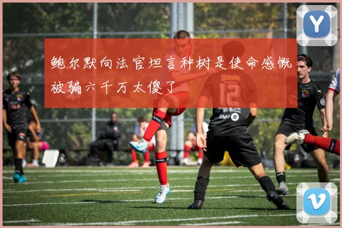 鲍尔默向法官坦言种树是使命感慨被骗六千万太傻了